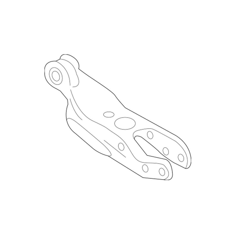 Suspension Control Arm – Rear Lower