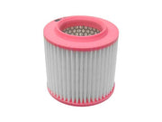 MANN FILTER Air Filter - C 1343