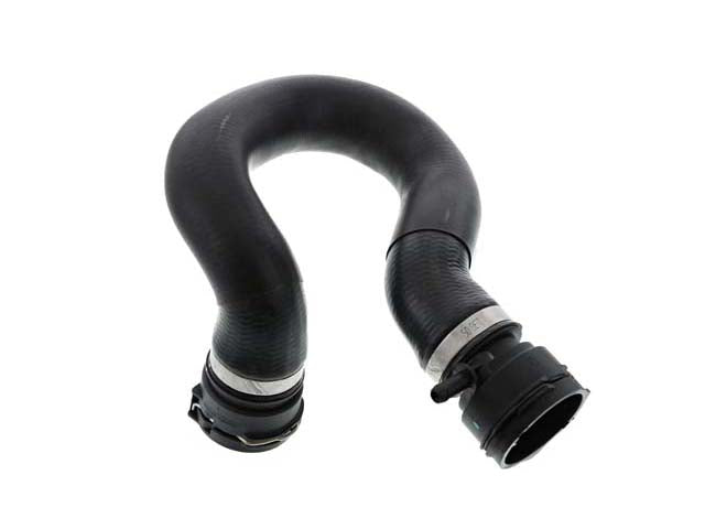 REIN AUTOMOTIVE Radiator Hose - CHR0541
