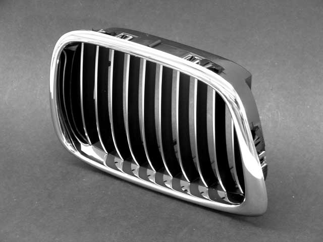 GENUINE BMW Grille - 51-13-2-497-262