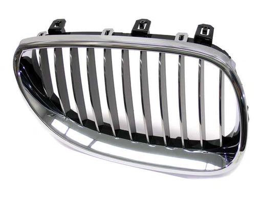GENUINE BMW Grille - 51-13-7-065-702