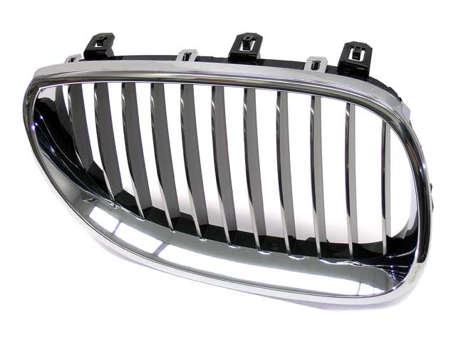 GENUINE BMW Grille - 51-13-7-065-702