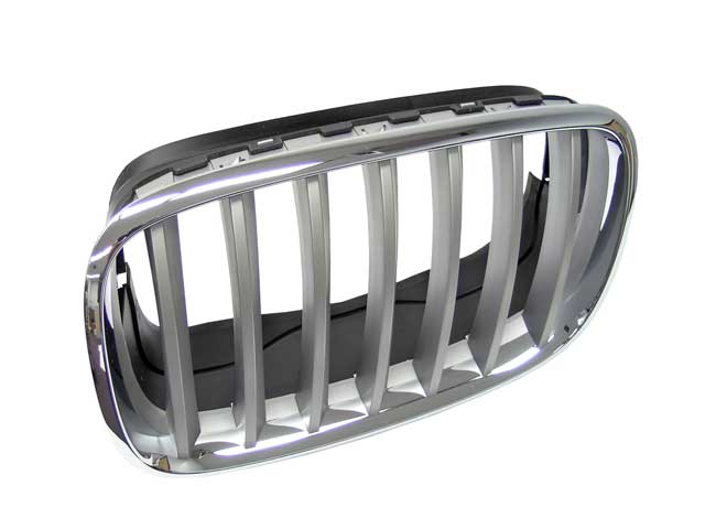 GENUINE BMW Grille - 51-13-7-185-223