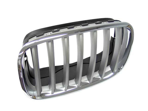 GENUINE BMW Grille - 51-13-7-185-223