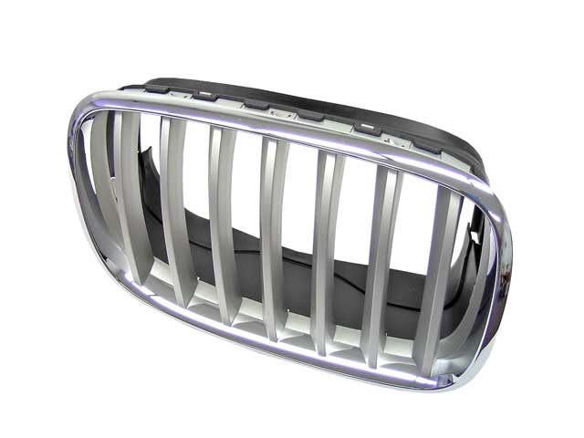 GENUINE BMW Grille - 51-13-7-185-224