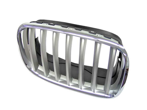 GENUINE BMW Grille - 51-13-7-185-224