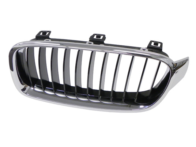 GENUINE BMW Grille - 51-13-7-255-411