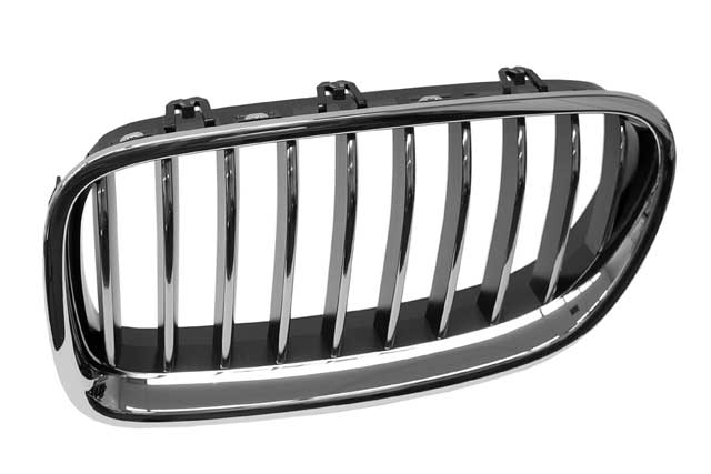 GENUINE BMW Grille - 51-13-7-412-323