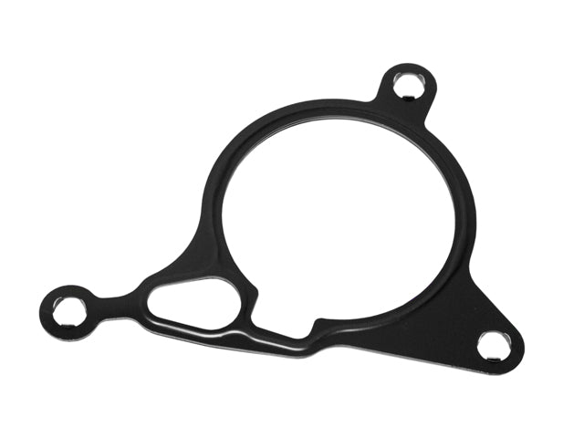 Vacuum Pump Gasket