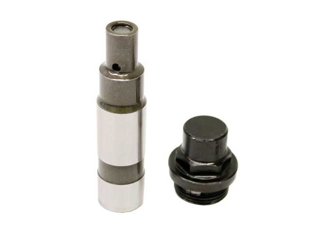 INA Timing Chain Tensioner 5510004100