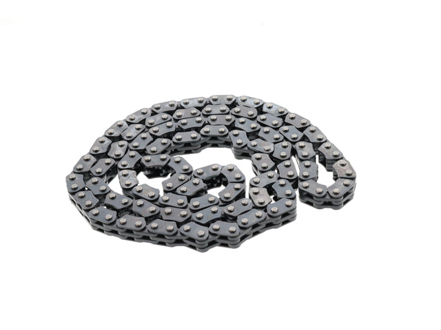 INA Timing Chain - 5530345100