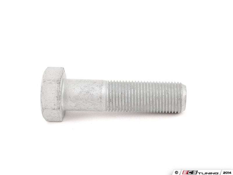 Crankshaft Pulley Bolt