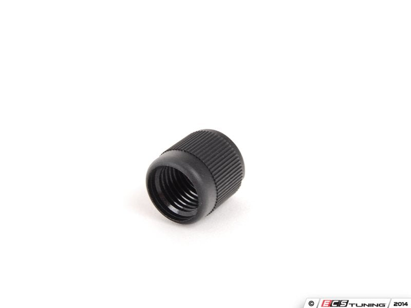 Fuel Rail Diagnostic Valve Cap - Priced Each