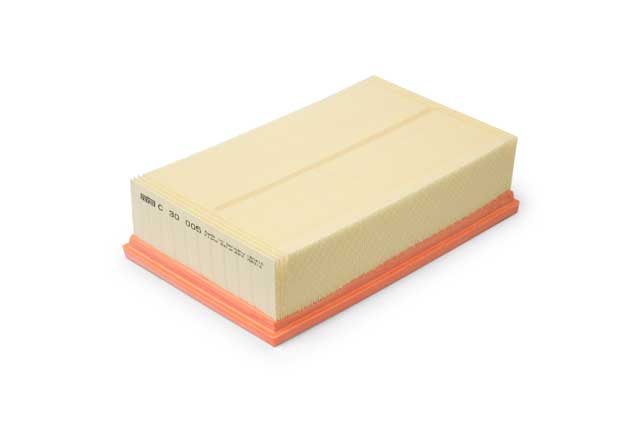 MANN FILTER Air Filter - C 30 005