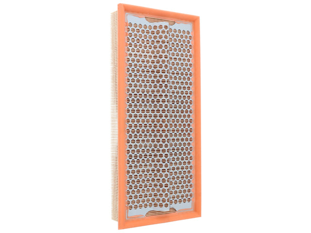 MANN FILTER Air Filter - C 38 163/1