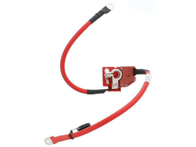 BAPMIC Battery Cable - BF0422930004