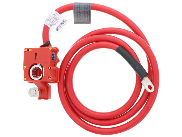 BAPMIC Battery Cable - BF0422930007
