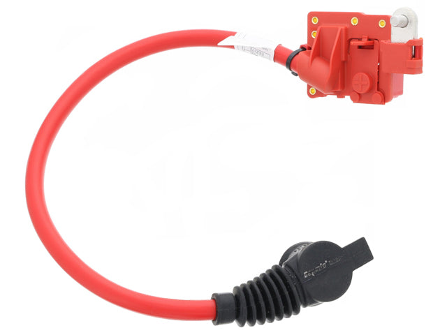 BAPMIC Battery Cable - BACB12719004