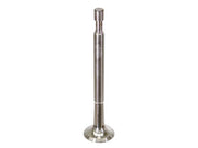 AE Exhaust Valve - V94543