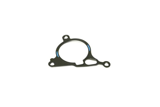 Vacuum Pump Gasket