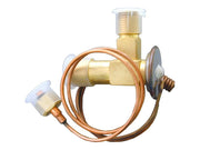 URO PARTS A/C Expansion Valve - 1394712