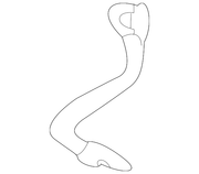 Genuine Porsche parts diagram