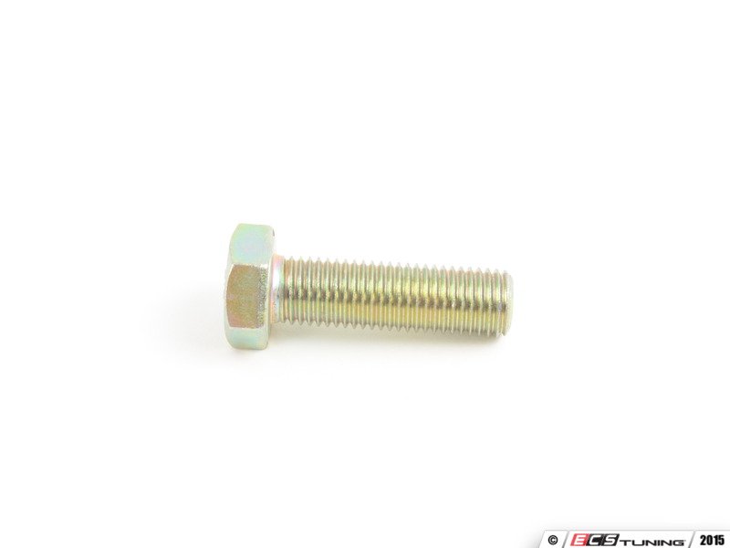 Caliper Mounting Bolt - Priced Each