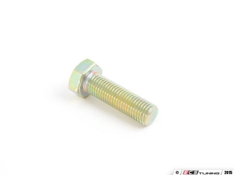 Caliper Mounting Bolt - Priced Each