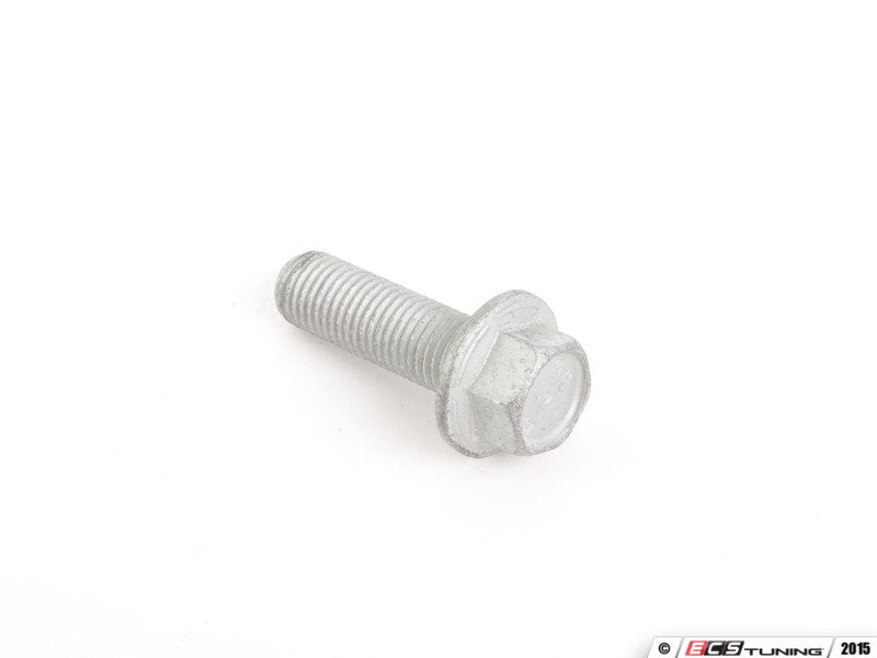 Caliper Mounting Bolt - Priced Each