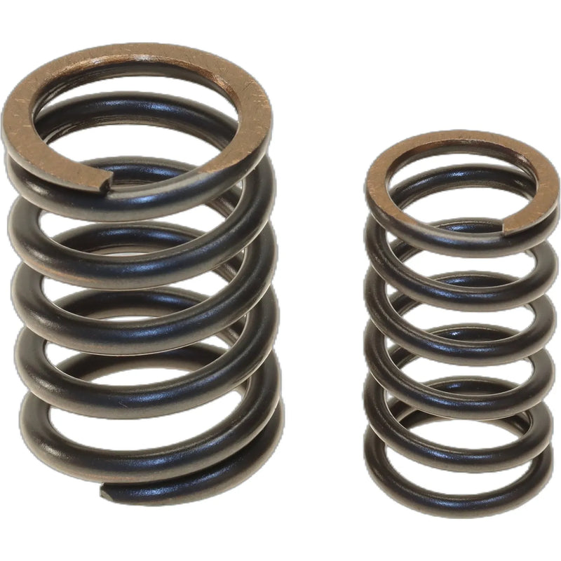 German Valve Spring Set 99610593900