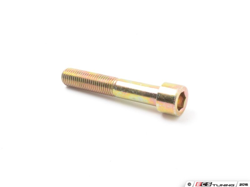 Caliper Mounting Bolt - Priced Each