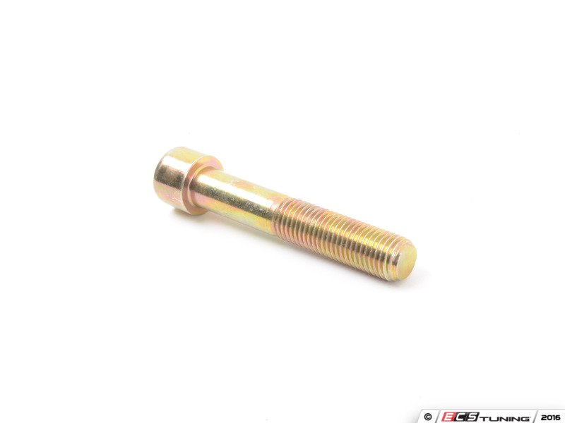 Caliper Mounting Bolt - Priced Each