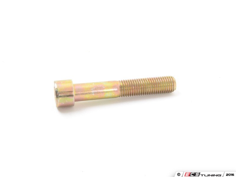 Caliper Mounting Bolt - Priced Each