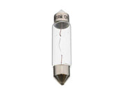 Bulb