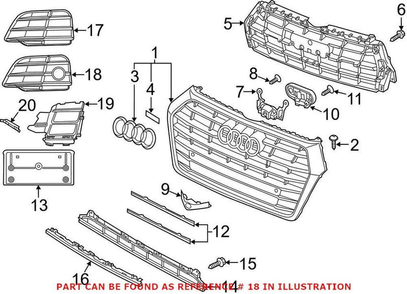 Genuine VW/Audi Grille – Front Driver Side