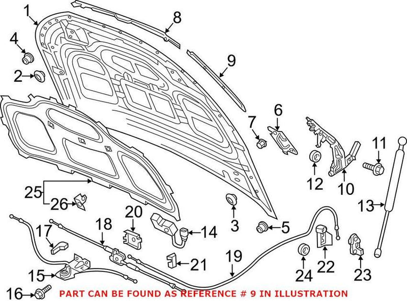 Genuine VW/Audi Hood Seal – Front Driver Side 80A823125