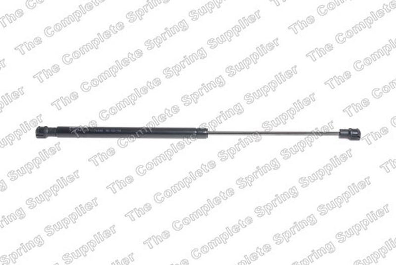 Trunk Lid Lift Support – Rear