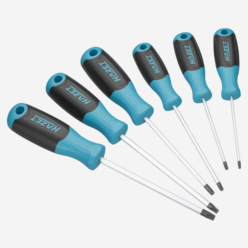 HAZET Screwdriver Set 811T/6