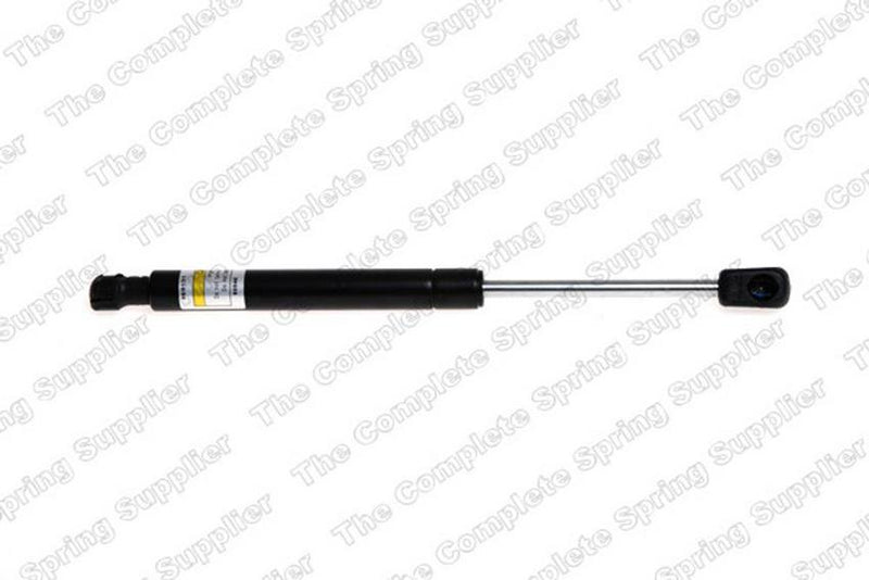 Trunk Lid Lift Support – Rear