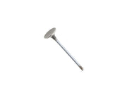 CORTECO Intake Valve - 82554204