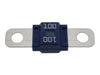 Fuse - 100 Amp