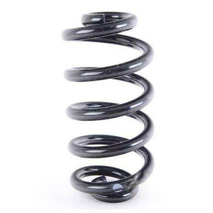 Coil Spring – Rear