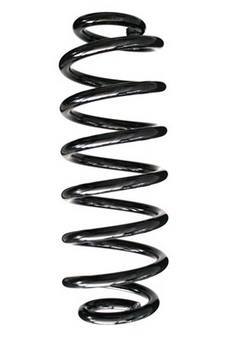 Coil Spring – Rear