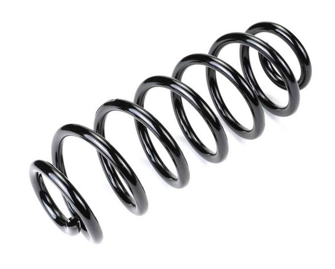 Coil Spring – Rear