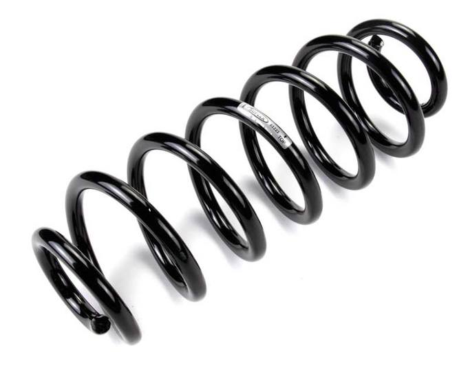 Coil Spring – Rear