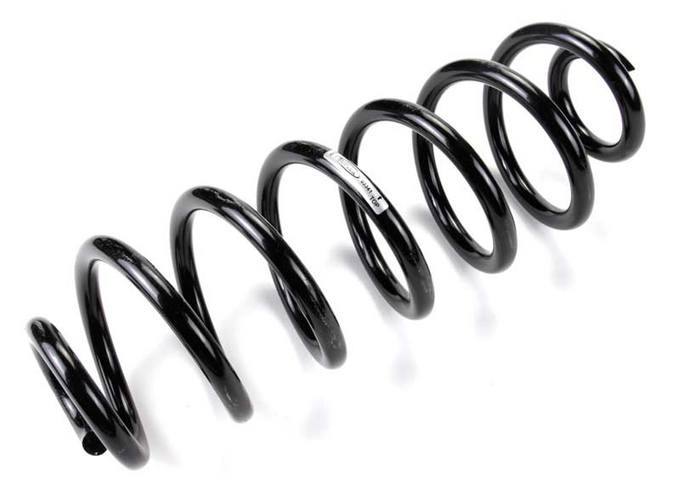 Coil Spring – Rear