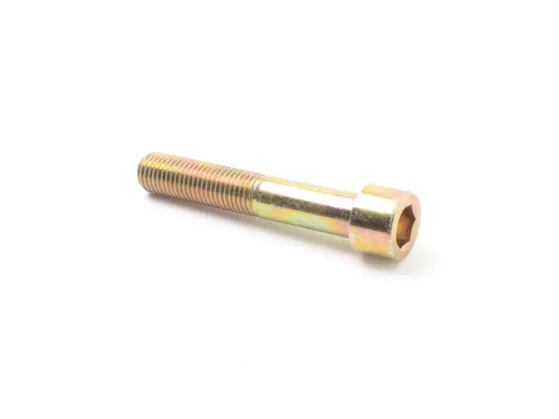 Caliper Mounting Bolt - Priced Each