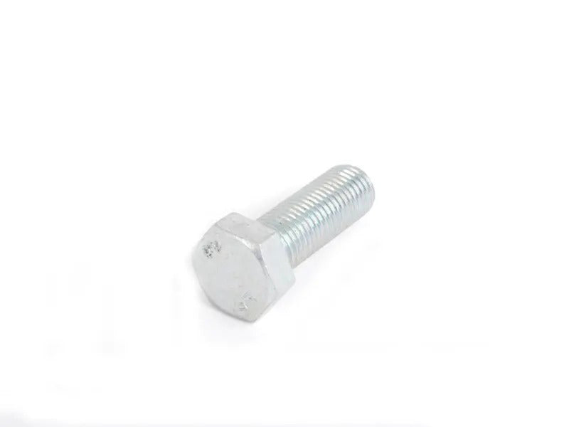 Caliper Mounting Bolt - Priced Each
