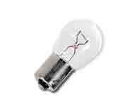 Clear Bulb - Priced Each