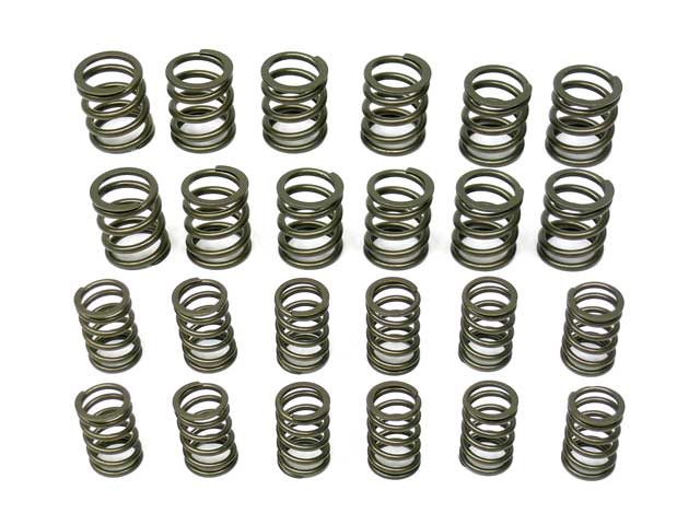 AASCO MOTORSPORTS Valve Spring Set - HP109 KIT